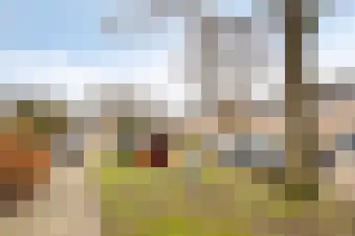 Norgerweg 137 Yde thumbnail 8