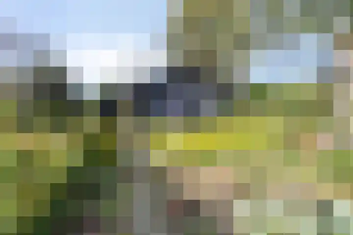 Norgerweg 138 Yde thumbnail 55