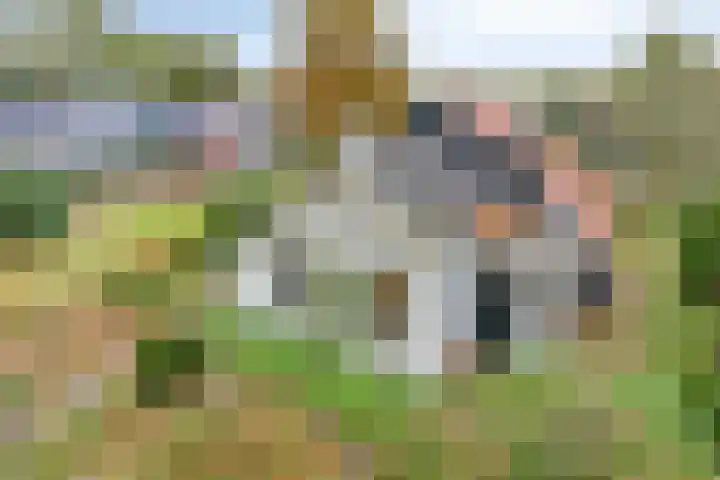 Norgerweg 138 Yde thumbnail 6