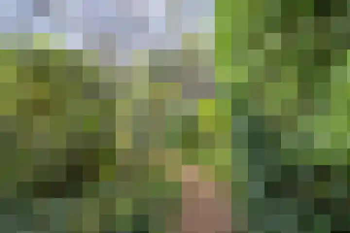 Norgerweg 138 Yde thumbnail 61