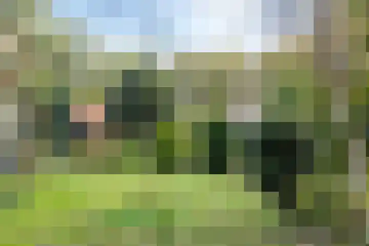 Norgerweg 138 Yde thumbnail 62