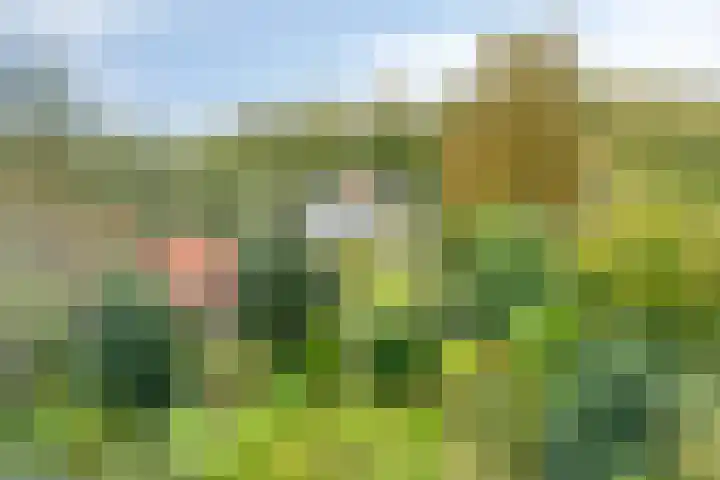 Norgerweg 138 Yde thumbnail 71