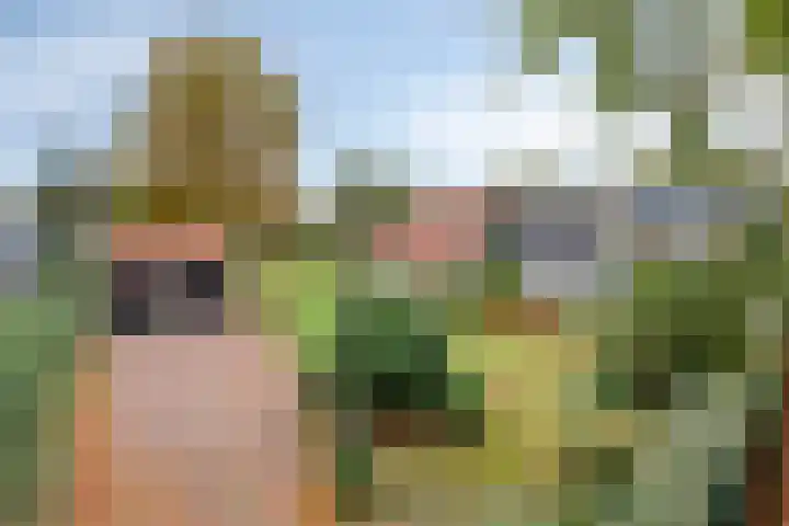 Norgerweg 138 Yde thumbnail 8
