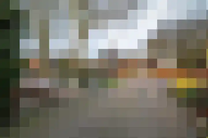 Norgerweg 15 De Punt thumbnail 13