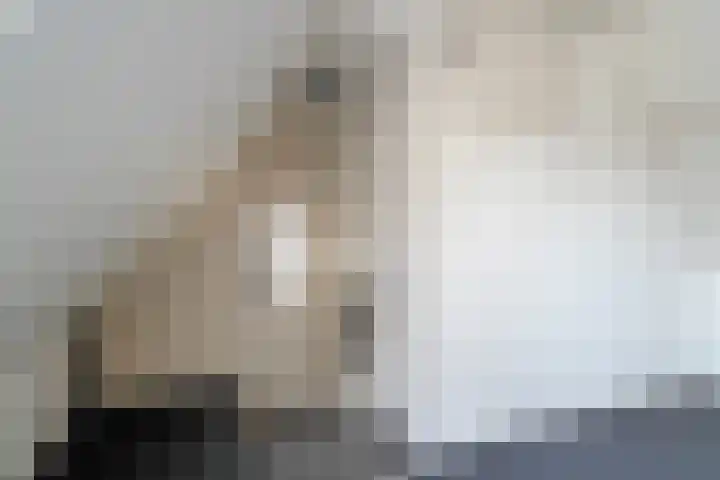 Norgerweg 15 De Punt thumbnail 41