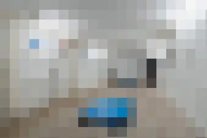 Norgerweg 15 De Punt thumbnail 7