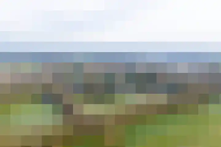 Norgerweg 15 De Punt thumbnail 8