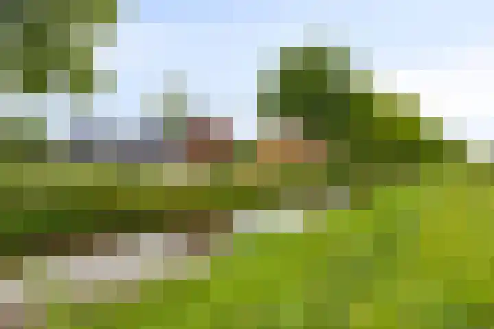 Norgerweg 87 Haulerwijk thumbnail 33