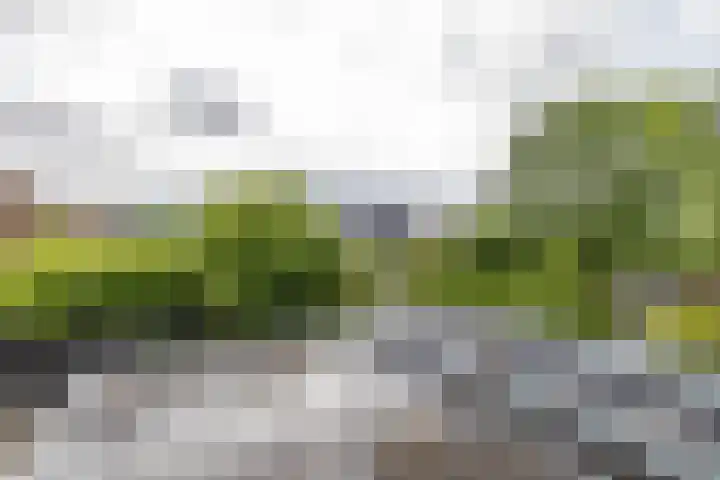 Notaris A.H. Agessingel 44 Leens thumbnail 26
