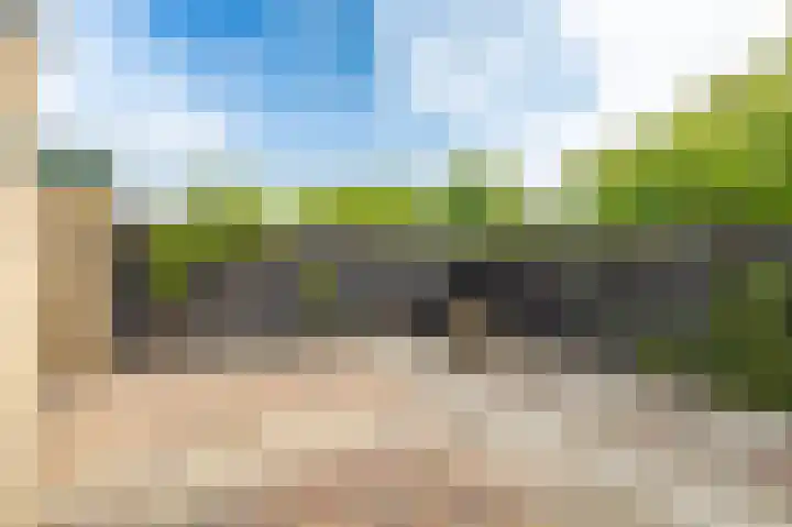 Notaris A.H. Agessingel 44 Leens thumbnail 5