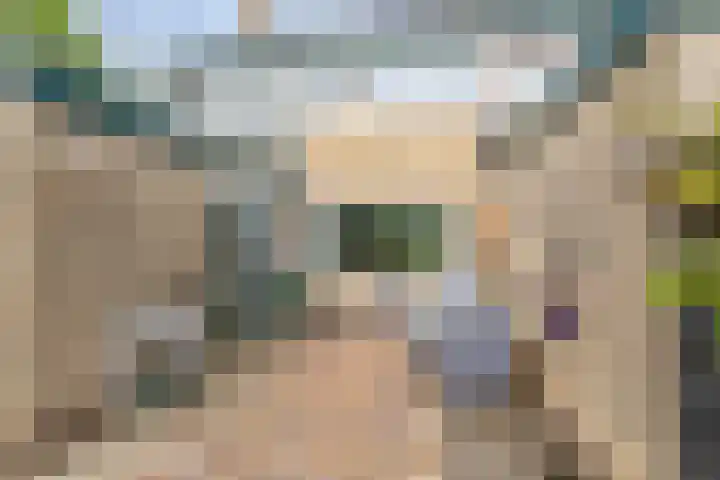 Notaris A.H. Agessingel 44 Leens thumbnail 7