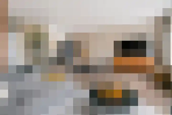 Notarisappel 27 Tiel thumbnail 11