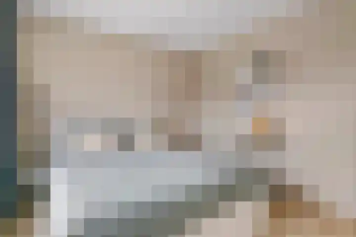 Notarisappel 27 Tiel thumbnail 18
