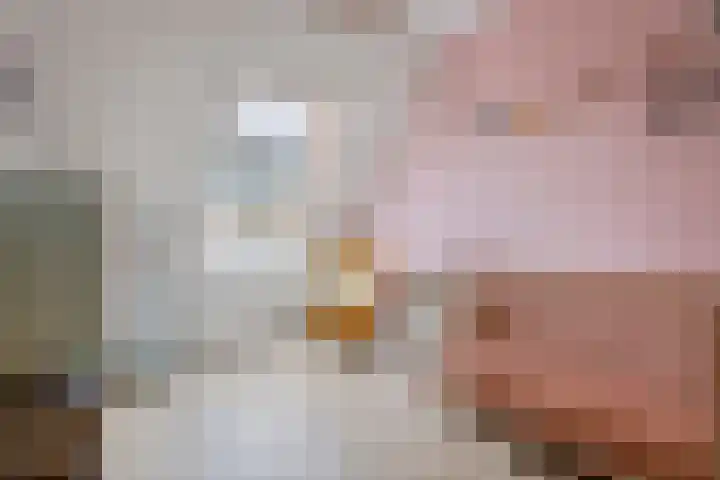 Notarisappel 27 Tiel thumbnail 20