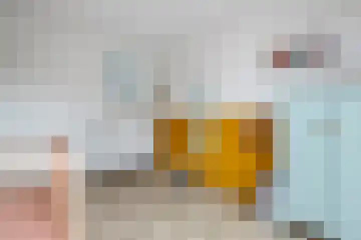 Notarisappel 27 Tiel thumbnail 21