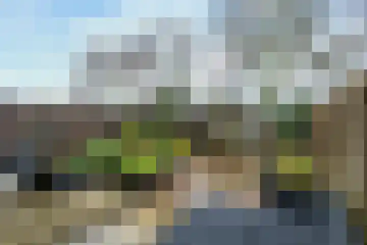 Notarisappel 27 Tiel thumbnail 30