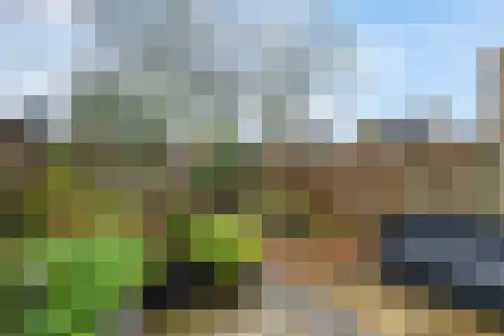 Notarisappel 27 Tiel thumbnail 31