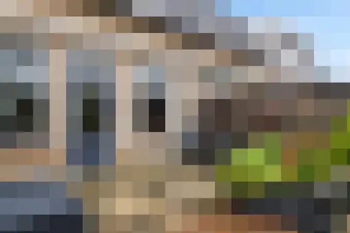 Notarisappel 27 Tiel thumbnail 35