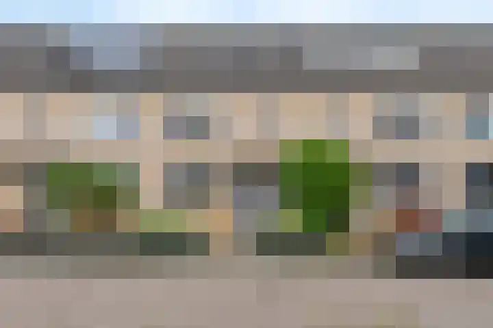 Notarisappel 27 Tiel thumbnail 38