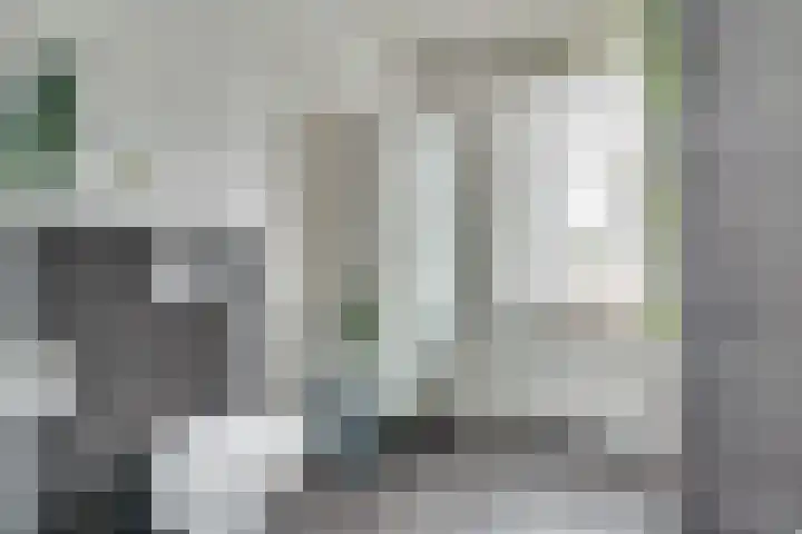 Notarisappel 30 Andijk thumbnail 18