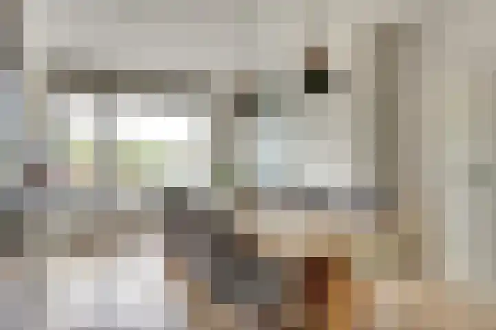 Notarisappel 30 Andijk thumbnail 4