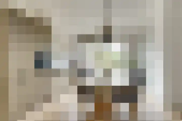 Notarisappel 30 Andijk thumbnail 6