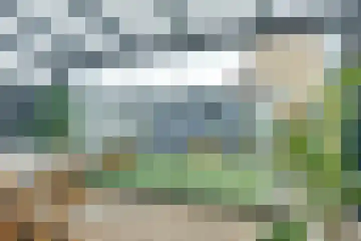 Notarisappel 30 Andijk thumbnail 9
