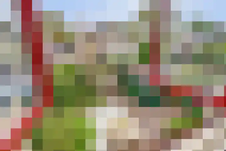 Notarisappelgaard 6 Arnhem thumbnail 29