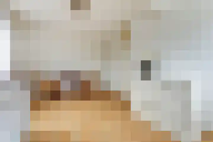 Notarisappelgaard 6 Arnhem thumbnail 32