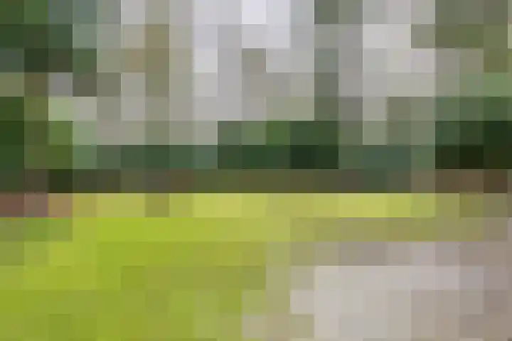 Notarisappelgaard 6 Arnhem thumbnail 33