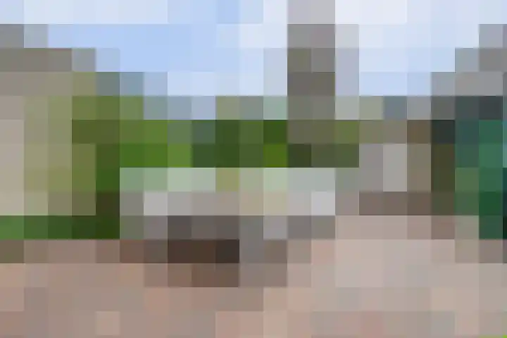 Notarisappelgaard 6 Arnhem thumbnail 36