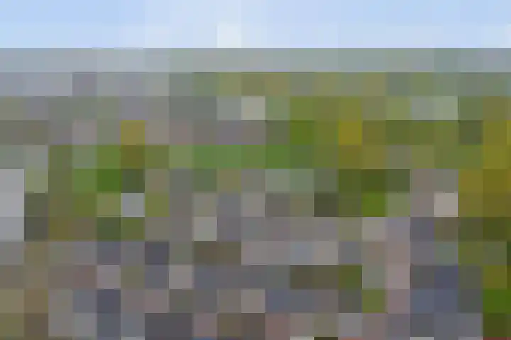 Notarisappelgaard 6 Arnhem thumbnail 42