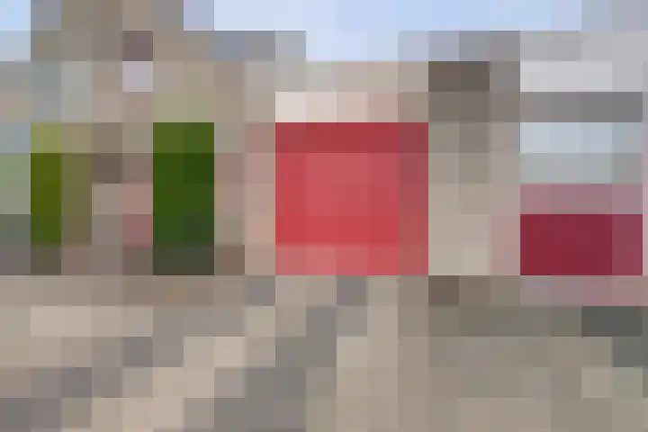 Notarisappelgaard 6 Arnhem thumbnail 6