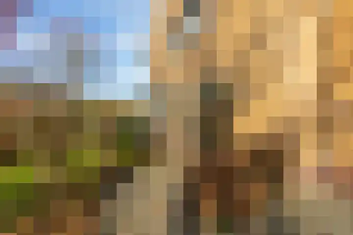 Notarisappelgaard 6 Arnhem thumbnail 9