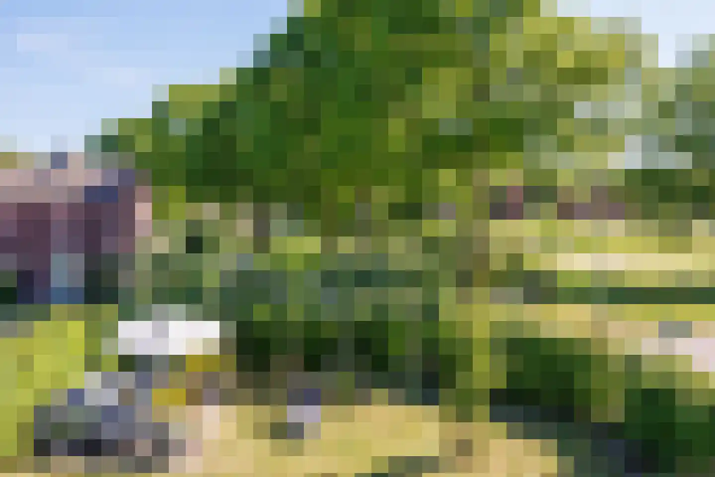 Notarisstraat 7 Afferden L thumbnail 49