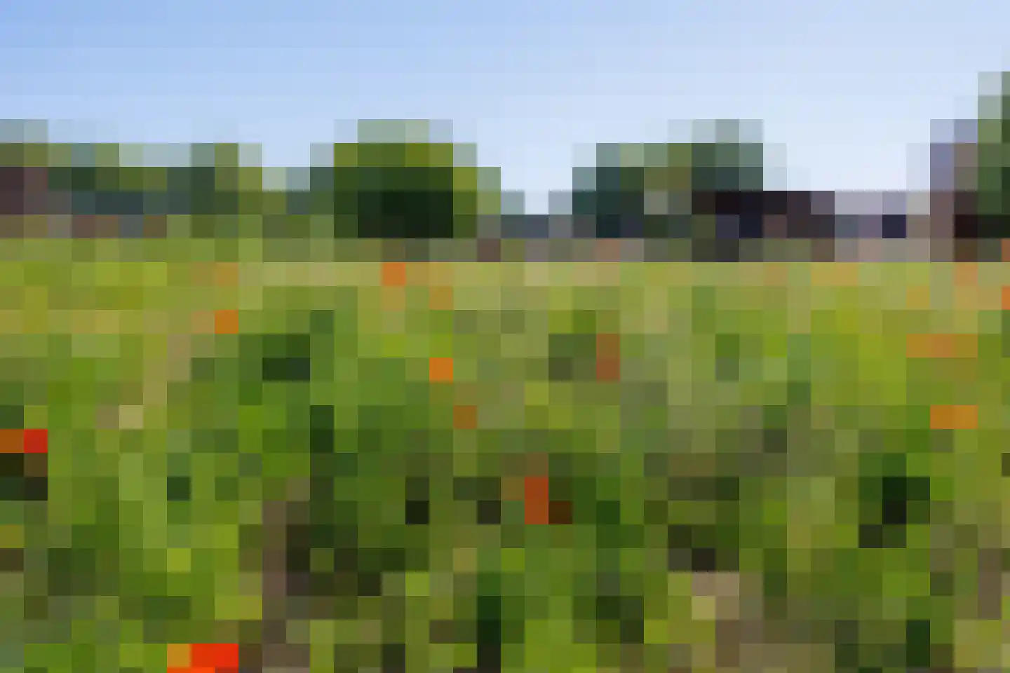 Notarisstraat 7 Afferden L thumbnail 65