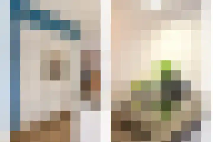 Notebomenhof 11 Utrecht thumbnail 19