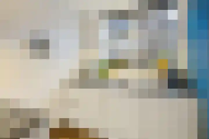 Notebomenhof 11 Utrecht thumbnail 20