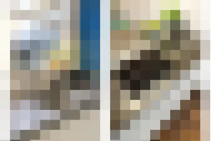 Notebomenhof 11 Utrecht thumbnail 21