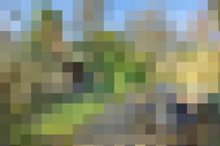 Notebomenhof 11 Utrecht thumbnail 23