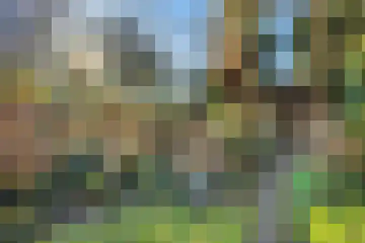 Notebomenhof 11 Utrecht thumbnail 24