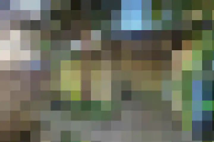 Notebomenhof 11 Utrecht thumbnail 25
