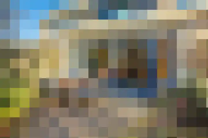 Notebomenhof 11 Utrecht thumbnail 27