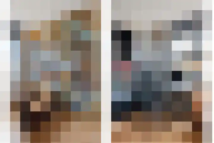Notebomenhof 11 Utrecht thumbnail 32