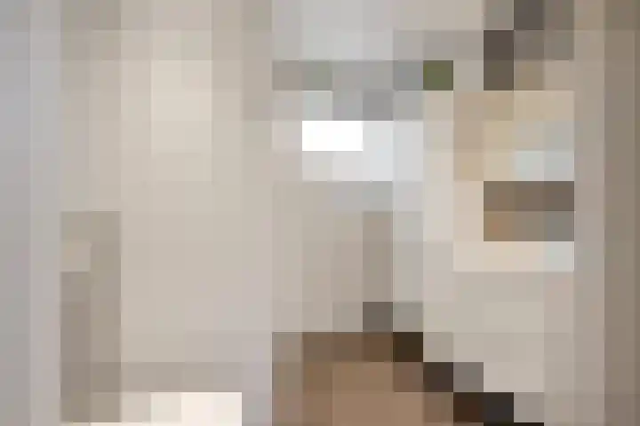 Notebomenhof 11 Utrecht thumbnail 34