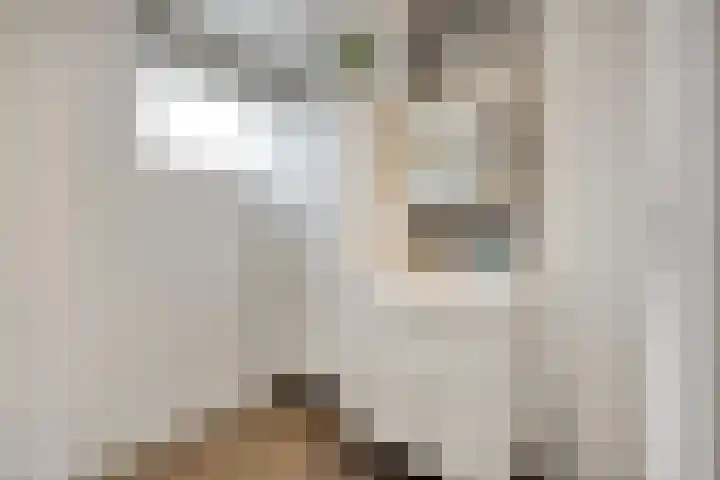 Notebomenhof 11 Utrecht thumbnail 35