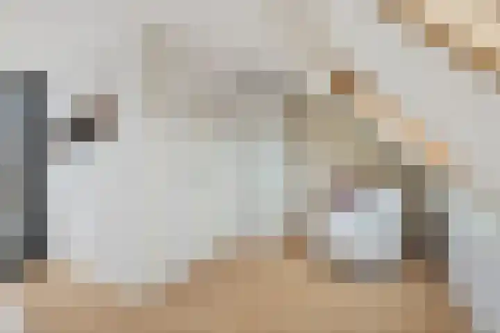Notebomenhof 11 Utrecht thumbnail 39