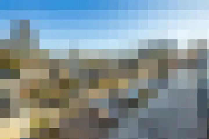 Notebomenhof 11 Utrecht thumbnail 45