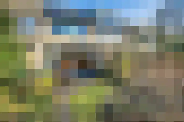 Notebomenhof 11 Utrecht thumbnail 5