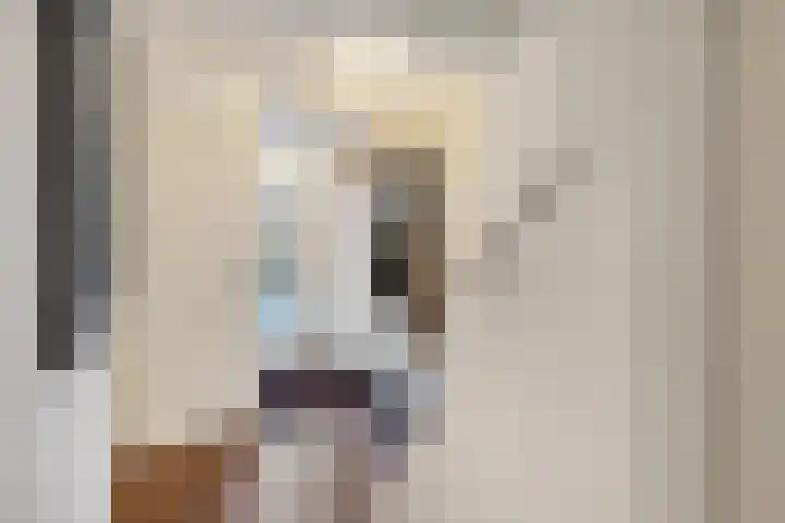 Notebomenhof 11 Utrecht thumbnail 8